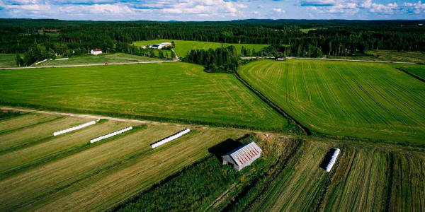 Estudios de suelos agrícolas en el Segrià